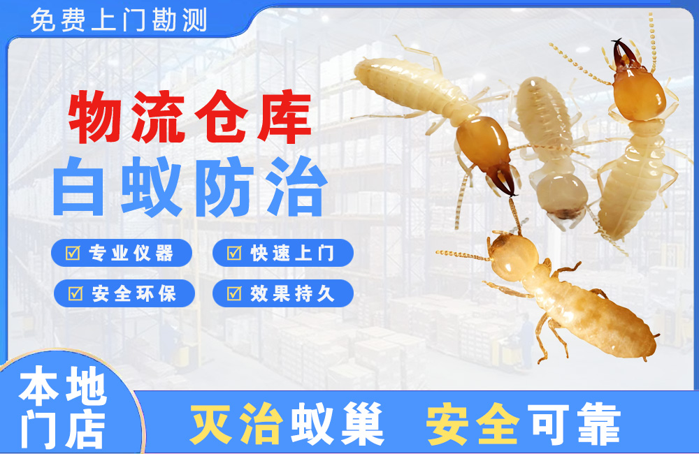 中山物流仓库白蚁防治