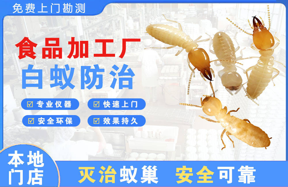 中山食品加工厂白蚁防治