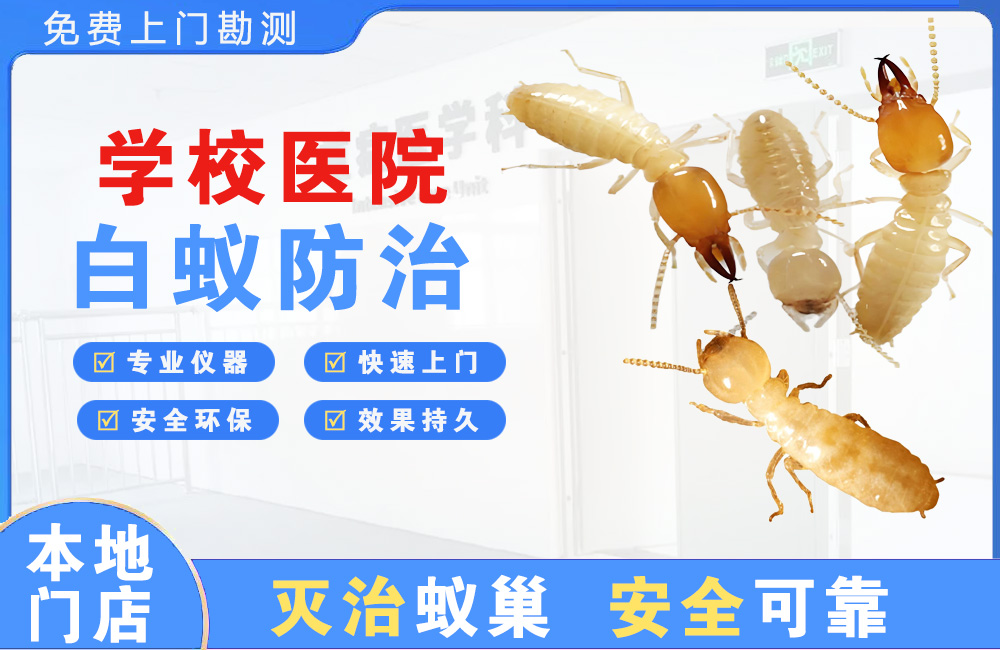 中山学校医院白蚁防治