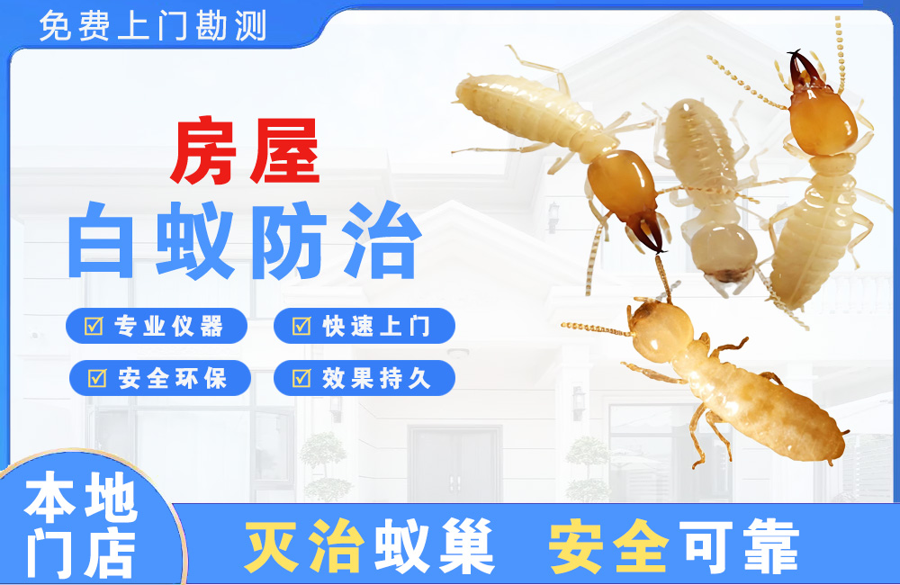 中山房屋白蚁防治