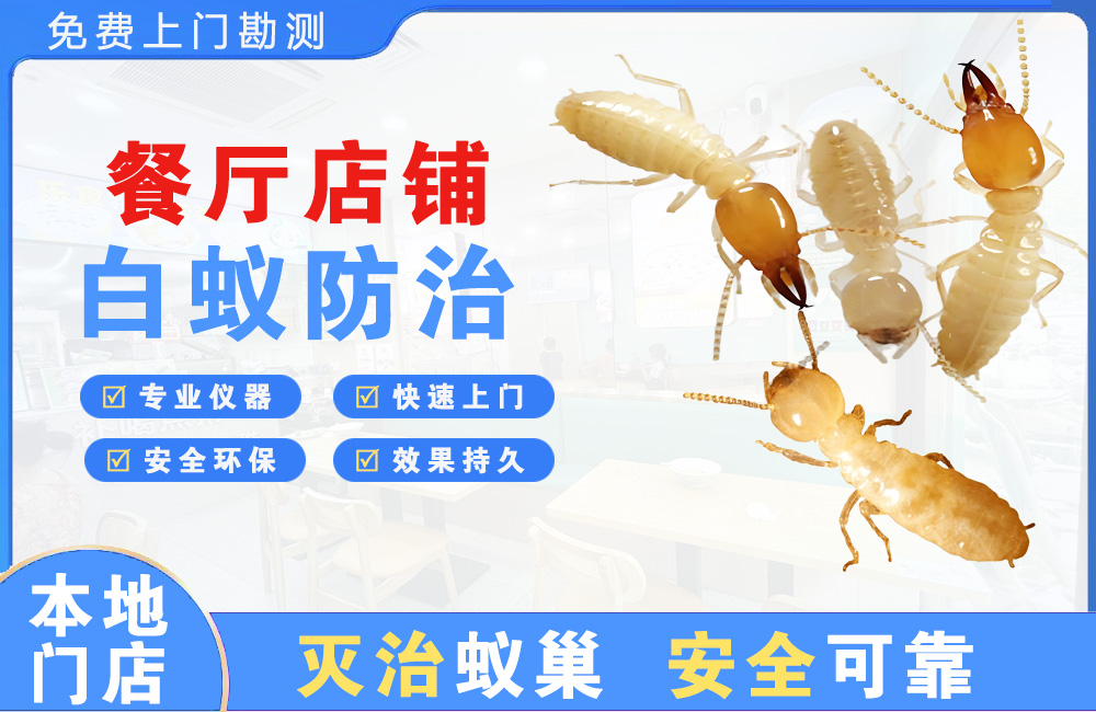 中山餐厅店铺白蚁防治